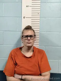 Mugshot of STEPHANIE RENAE LIVENGOOD booked in Lincoln County, Missouri on July 13, 2026