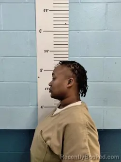 Mugshot of SHAMYIA MARIE SEAY booked in Lincoln County, Missouri on April 25, 2026