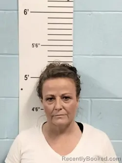 Mugshot of TABBITHA A HENDRICKS booked in Lincoln County, Missouri on July 14, 2026