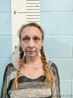 Mugshot of TONI ADELE IRVING