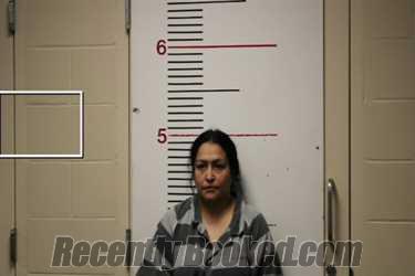 Booking photo from Anderson County, Texas