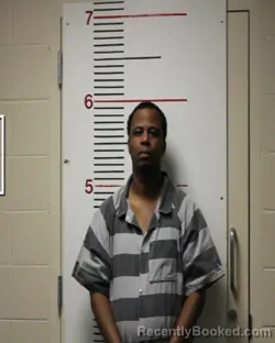 Booking photo from Anderson County, Texas