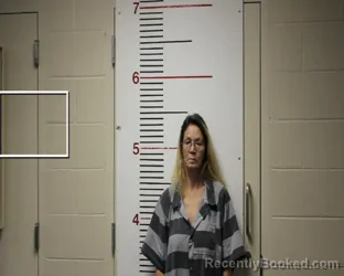 Mugshot of VELVET DENISE LIVELY