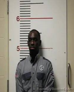 Mugshot of BITRAZIE NENE