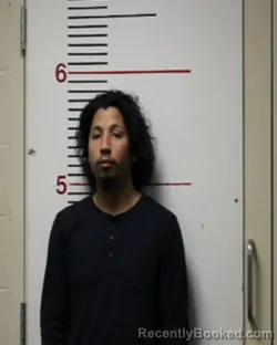 Mugshot of JORGE ALBERTO ALFARO
