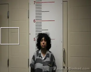 Mugshot of SHABANA LASHELLE LAWSON