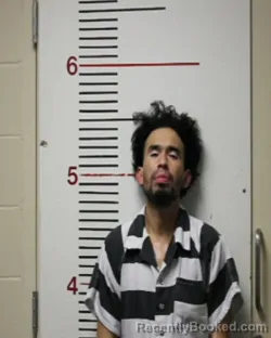 Mugshot of DOMINGUEZ CONTRERAS
