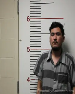 Mugshot of MOSES ADAME