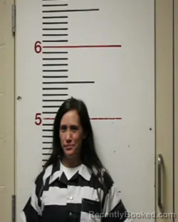 Mugshot of HEATHER LEANN BRIERY