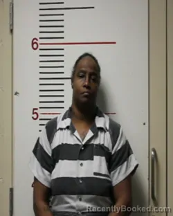 Mugshot of TRICIA LYNN JOHNSON