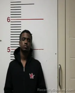 Mugshot of DAVID LEE ROBERTS