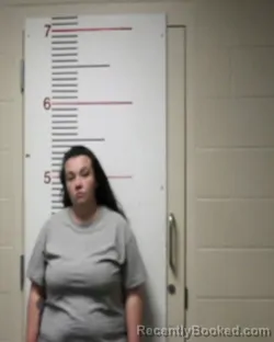 Mugshot of DEEANN MARIE NOONAN booked in Anderson County, Texas on March 20, 2026