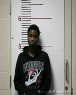 Mugshot of TYSHAWN J DORSEY booked in Anderson County, Texas on March 24, 2026