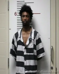 Mugshot of DANTRELL RASHAUD BEASLEY booked in Anderson County, Texas on March 24, 2026