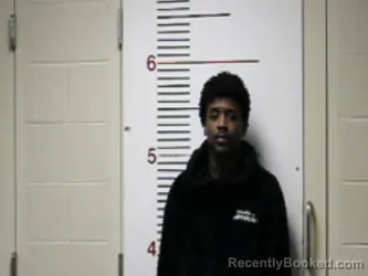 Mugshot of DARRIUS STEPHENS booked in Anderson County, Texas on March 29, 2026