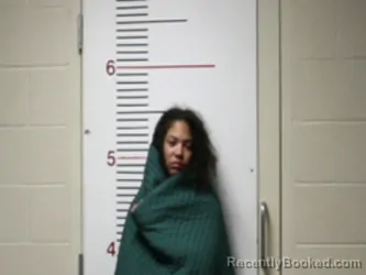 Mugshot of ALEXIS EVAY ENGLAND-DAVIS booked in Anderson County, Texas on March 29, 2026