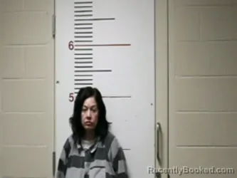 Mugshot of ANDREA M LANKFORD booked in Anderson County, Texas on March 31, 2026