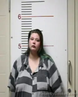 Mugshot of SKYLAR TREAT booked in Anderson County, Texas on March 31, 2026