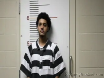 Mugshot of QUAVON LEESHUN ADAMS booked in Anderson County, Texas on April 1, 2026