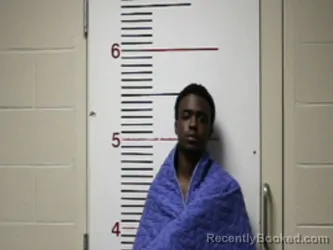 Mugshot of DAVID LEE ROBERTS booked in Anderson County, Texas on April 10, 2026