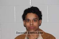 Booking photo from Livingston County, Missouri