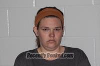 Booking photo from Livingston County, Missouri