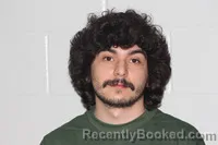 Mugshot of Tyler Wayne Wallace booked in Livingston County, Missouri on March 30, 2026