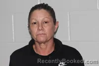 Mugshot of Michelle Renee Souders booked in Livingston County, Missouri on April 2, 2026