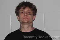 Mugshot of Austin Tyler Fox booked in Livingston County, Missouri on April 21, 2026