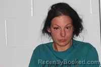 Mugshot of Danielle Marie Clark booked in Livingston County, Missouri on April 24, 2026