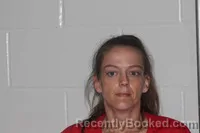 Mugshot of Dominique Patricia Hurst booked in Livingston County, Missouri on June 28, 2026