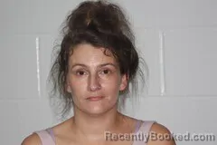 Mugshot of CHELSEA A ROLLER booked in Livingston County, Missouri on July 31, 2026