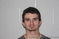 Mugshot of ELIJAH R COOK booked in Livingston County, Missouri on August 1, 2026