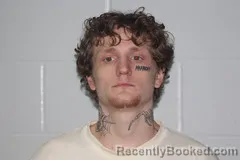 Mugshot of Austin T Fox booked in Livingston County, Missouri on August 5, 2026