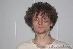 Mugshot of Austin T Fox booked in Livingston County, Missouri on September 9, 2026