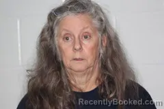 Mugshot of Janeane J Butterfield booked in Livingston County, Missouri on October 26, 2026