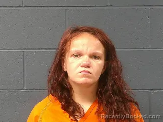 Mugshot of Cheyanne Renea Landers booked in McDonald County, Missouri on June 29, 2026