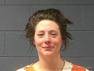 Mugshot of Courtney Nichole Lofton booked in McDonald County, Missouri on April 25, 2026