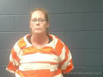 Mugshot of Danielle Webb booked in McDonald County, Missouri on June 28, 2026