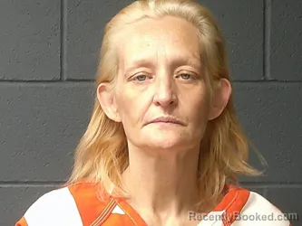 Mugshot of Kelly Lynnette McKenzie booked in McDonald County, Missouri on July 8, 2026