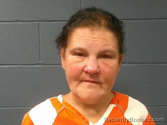 Mugshot of Kastine Marie Santiago booked in McDonald County, Missouri on September 7, 2026