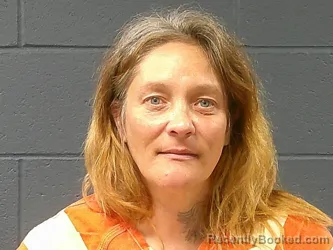 Mugshot of Samantha Jo Youngblood booked in McDonald County, Missouri on August 3, 2026