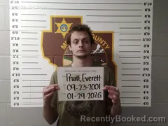 Mugshot of Everett David Pruitt