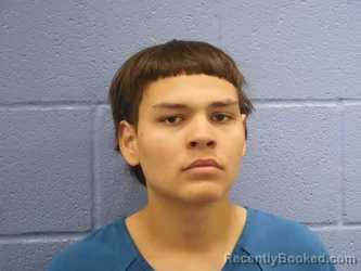 Mugshot of JESSE MANUEL BROWN