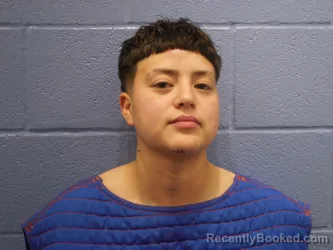 Mugshot of ZAYLEIGH BREANALEE MILLAN booked in Andrews County, Texas on May 2, 2026