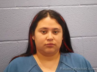 Mugshot of Sheyli Nicol Castillo-Zavala booked in Andrews County, Texas on September 18, 2026