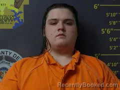 Mugshot of CAMERON LEE FITCH