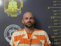 Mugshot of ALAN LEE HEES booked in Morgan County, Missouri on July 29, 2026