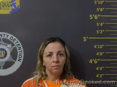Mugshot of Samantha Joe Dryer booked in Morgan County, Missouri on October 15, 2026