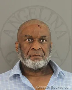 Mugshot of KENNETH JAMES WATSON